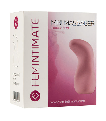 n10042-mini-massager.jpg