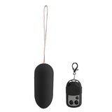 n6477-10_speed_remote_control_bullet-1_1.jpg