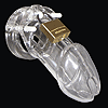 n7195-cb6000_male_chastity_device_kit_new.gif